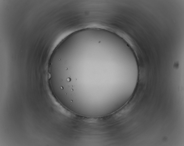 X0000093091048200710101513