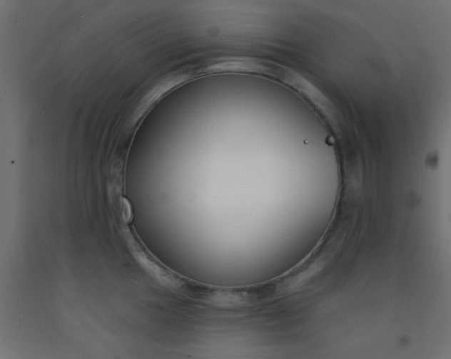 X0000093091049200710101513