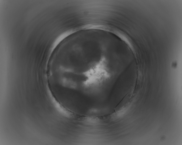 X0000093091050200710101513