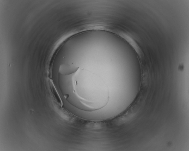 X0000093091051200710101513