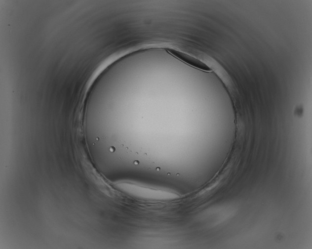 X0000093091052200710101513