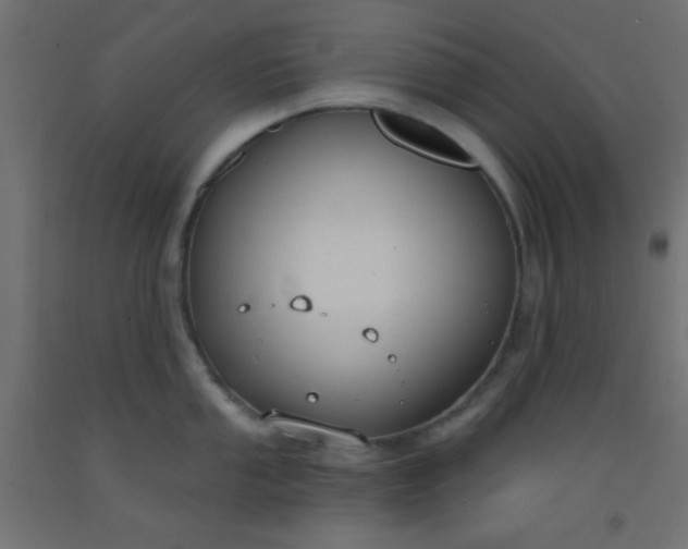 X0000093091053200710101513