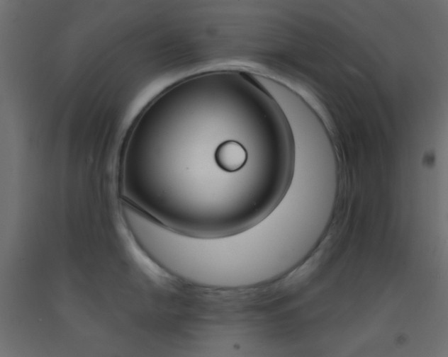 X0000093091054200710101513