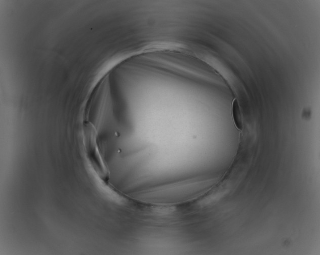 X0000093091055200710101513