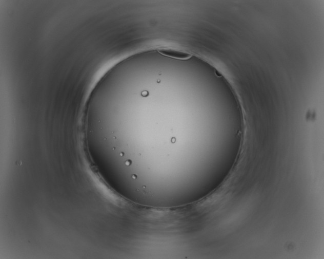 X0000093091056200710101513