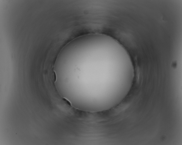 X0000093091057200710101513