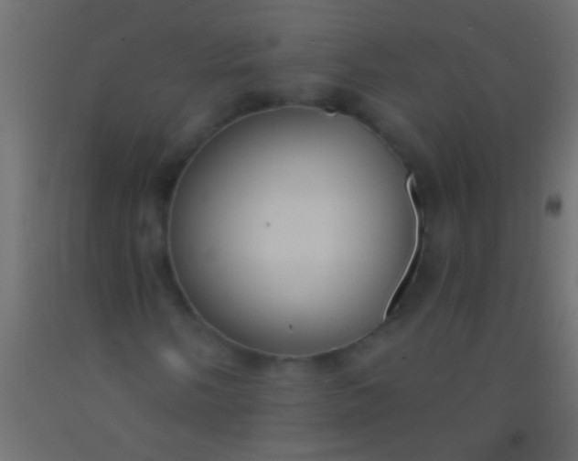 X0000093091058200710101513