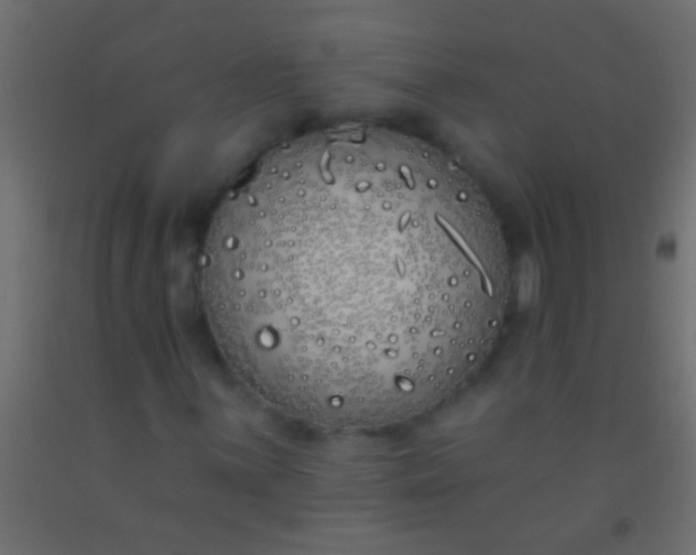 X0000093091059200710101513