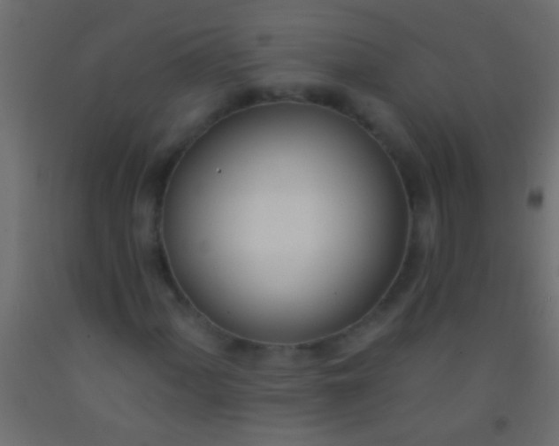 X0000093091060200710101513