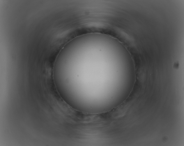 X0000093091061200710101513