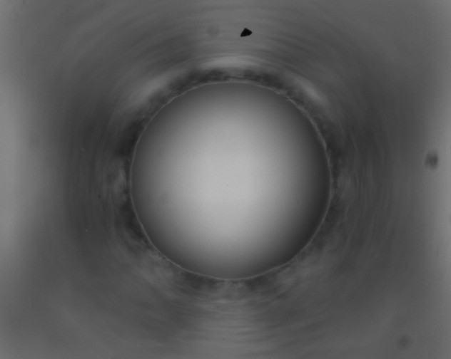 X0000093091062200710101512