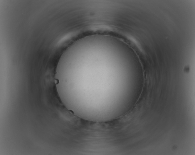 X0000093091063200710101512