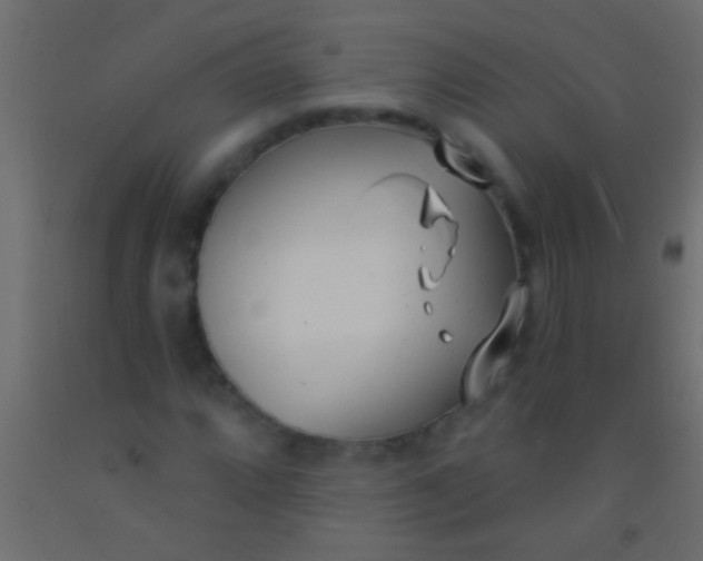 X0000093091064200710101512