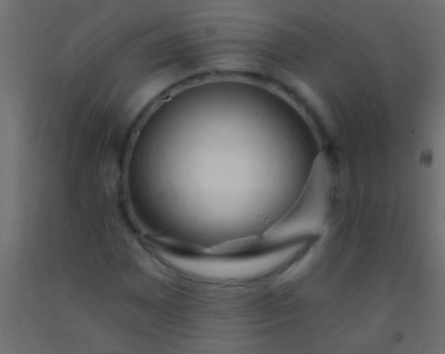 X0000093091065200710101512