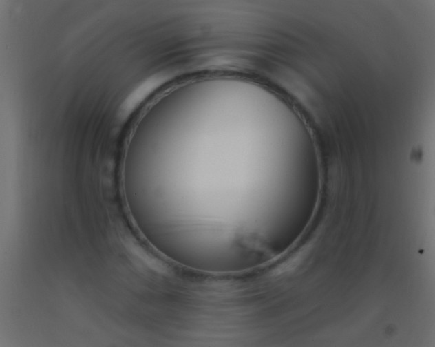 X0000093091066200710101512