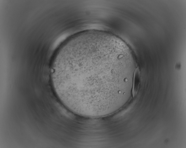 X0000093091067200710101512