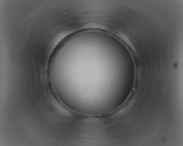 X0000093091068200710101512