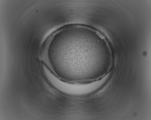 X0000093091069200710101512