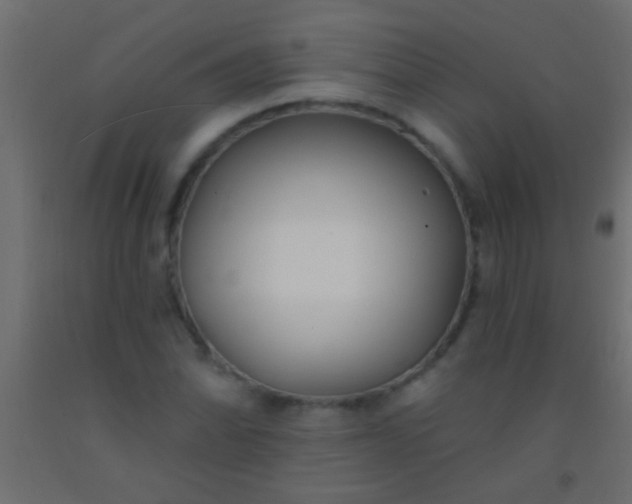 X0000093091070200710101512