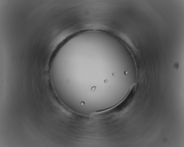 X0000093091071200710101512