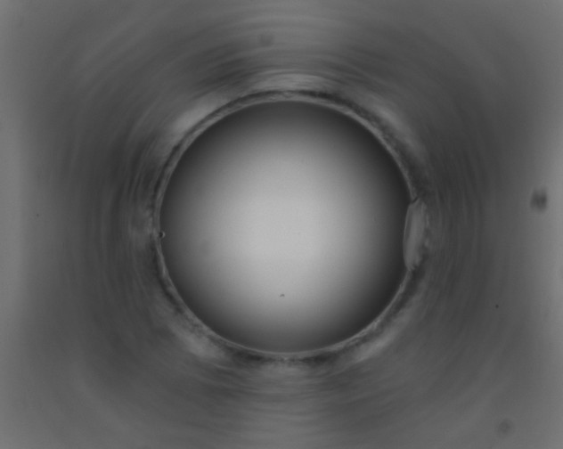 X0000093091073200710101512