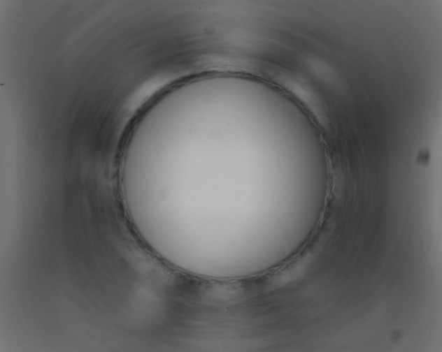 X0000093091074200710101512