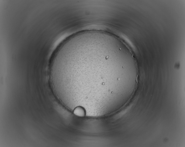 X0000093091075200710101512