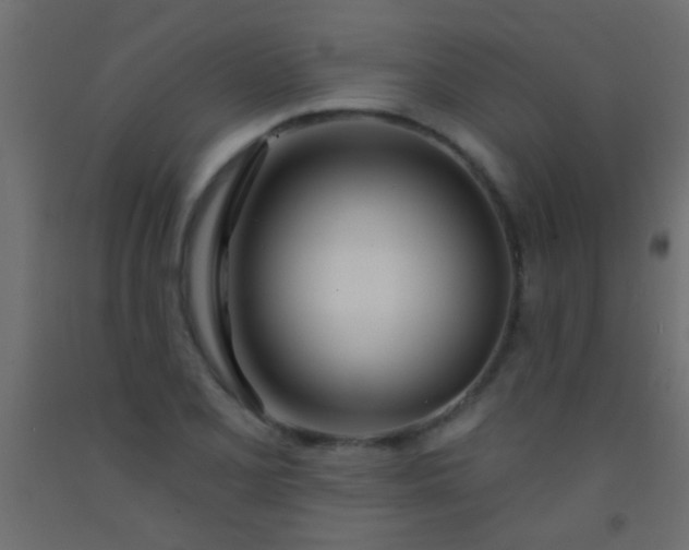 X0000093091077200710101512