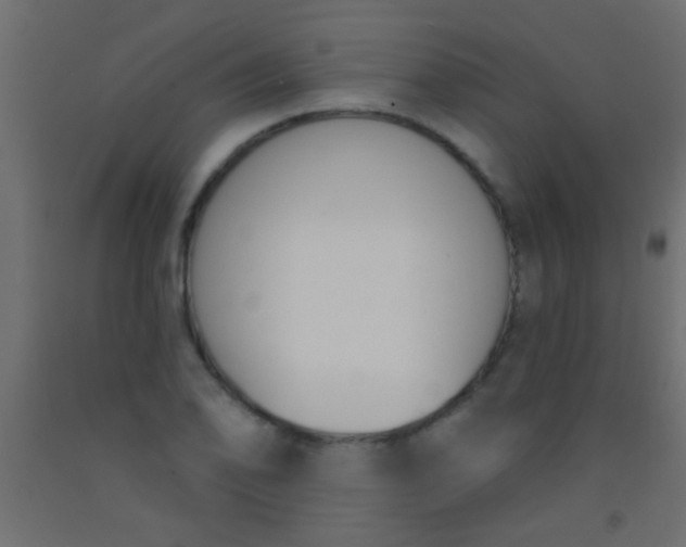 X0000093091078200710101512