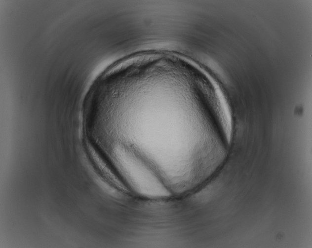 X0000093091079200710101512