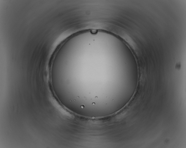 X0000093091080200710101512