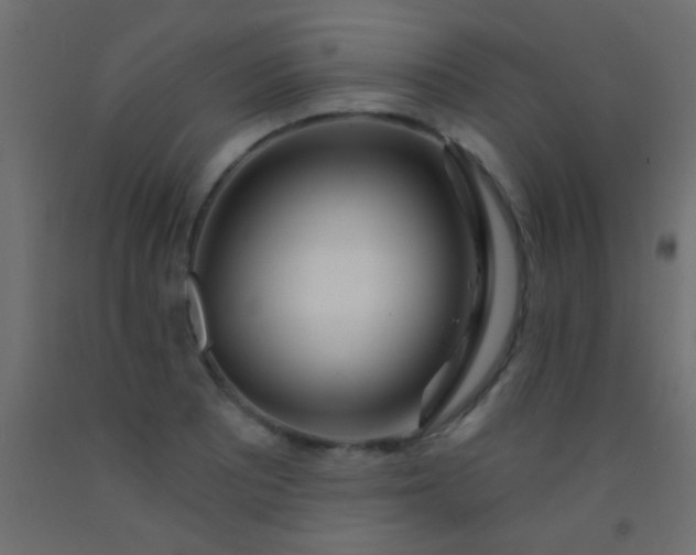 X0000093091081200710101512