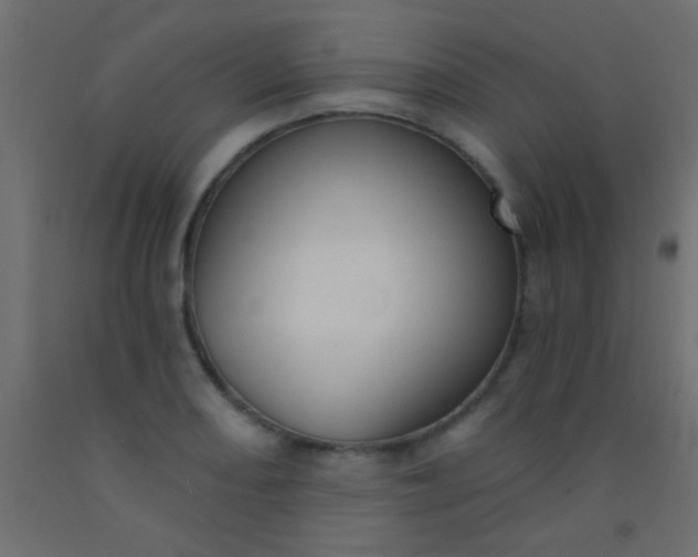 X0000093091082200710101512