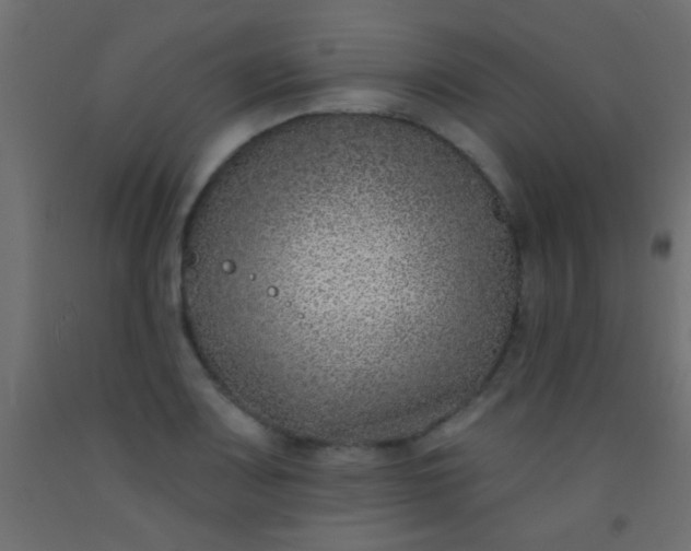 X0000093091083200710101512