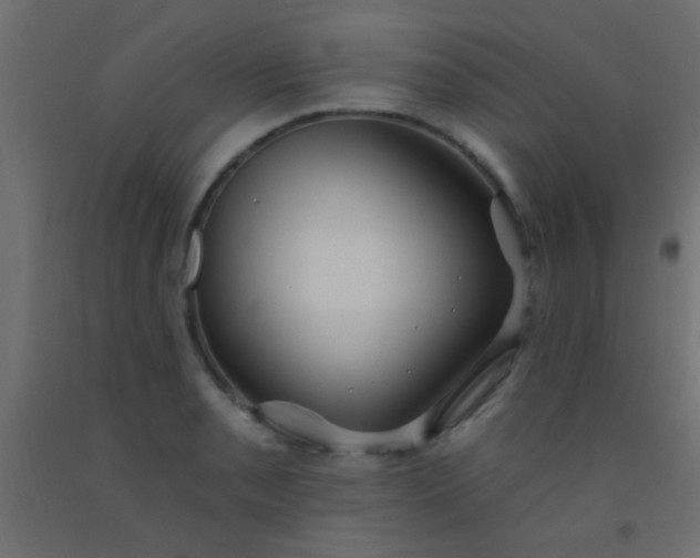 X0000093091085200710101512