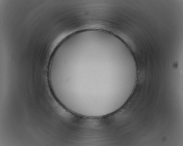 X0000093091086200710101512