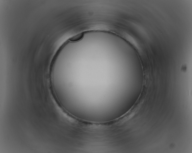 X0000093091087200710101512