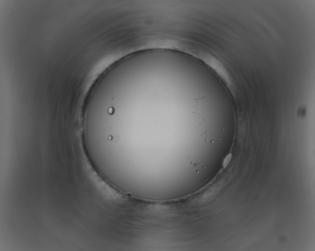 X0000093091088200710101512