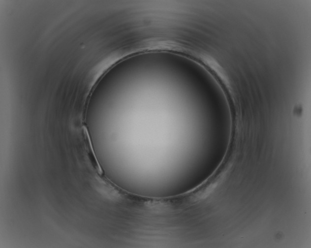 X0000093091089200710101512