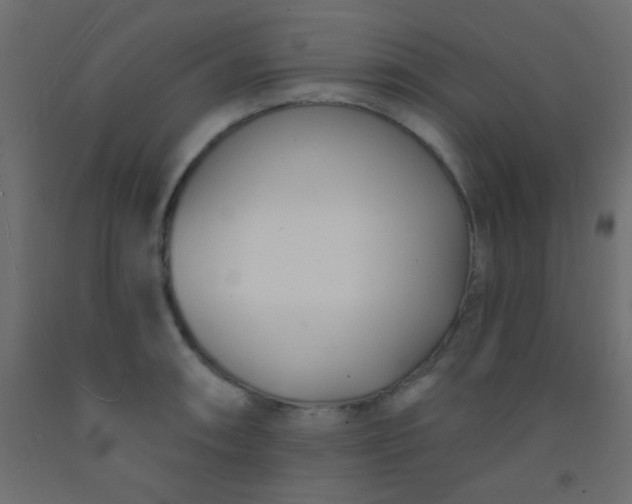 X0000093091090200710101512