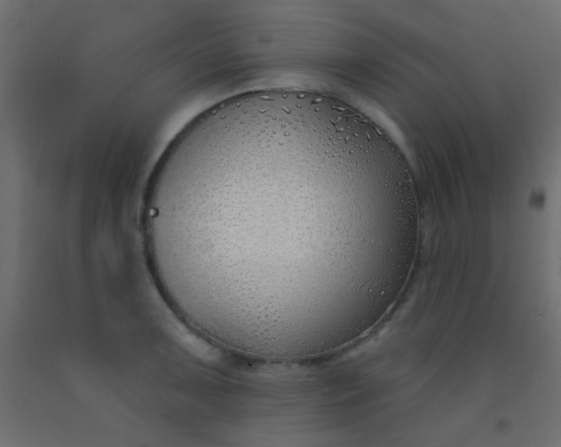 X0000093091091200710101512