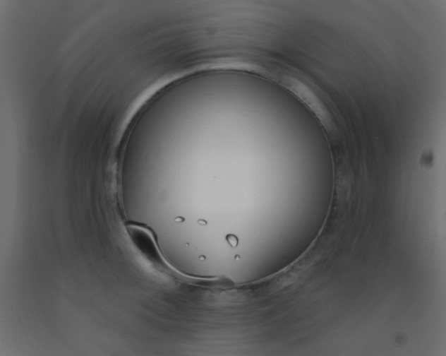 X0000093091092200710101512