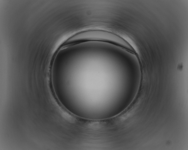 X0000093091093200710101512