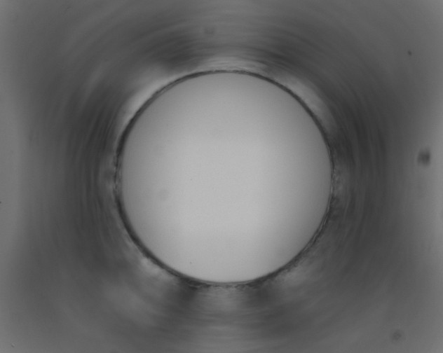 X0000093091094200710101512