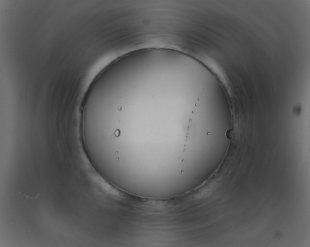 X0000093091096200710101512