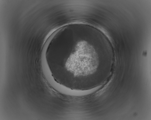 X0000093091097200710101512