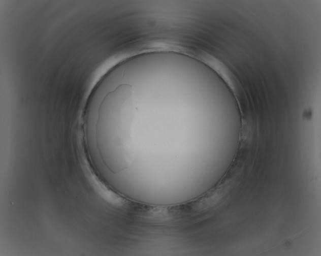 X0000093091098200710101512