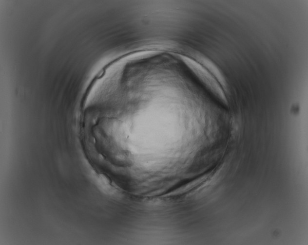 X0000093091099200710101512