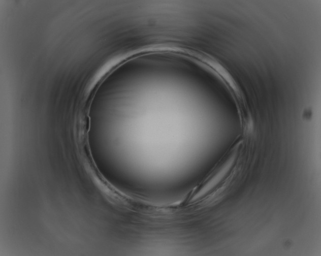 X0000093091101200710101512