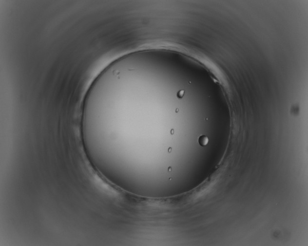 X0000093091102200710101512